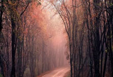 国际滑联允许俄白“中立”运动员参加2026冬奥预选赛环球时报.