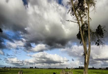 PG电子：欧洲新赛季正式开启 国羽新生代亮相德国公开赛中国羽毛球协会.