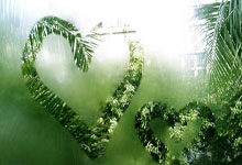 PG电子：[足球之夜]张玉宁：梦想还在延续.