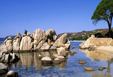 祖巴茨篮下强起遭遇SGA侵犯，裁判并未表示.